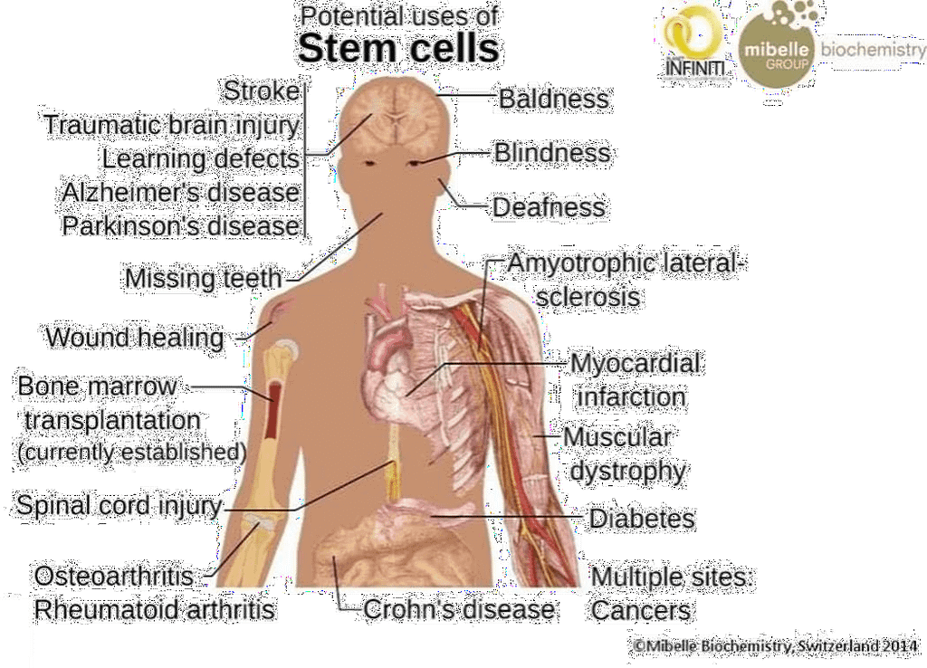 منتجات سويس ديرم