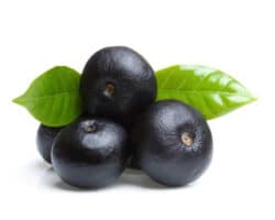 acai berry تجديد الخلايا ومكافحة الشيخوخة