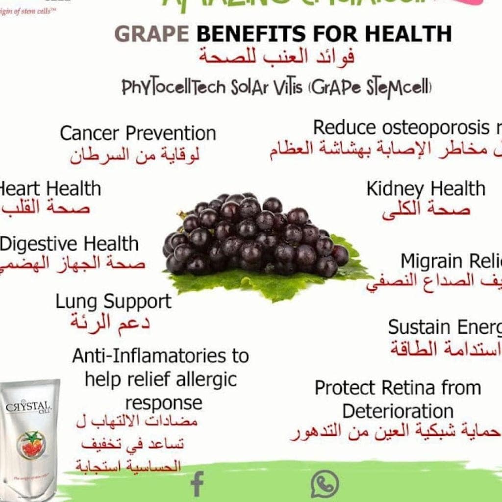 الخلايا الحذعيية النباتية