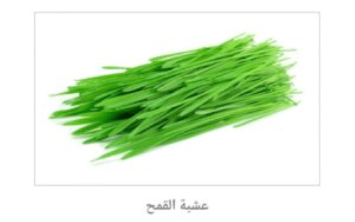 تجديد الدم